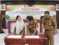 Fleksibilitas BLUD dalam Meningkatkan Mutu Pelayanan Kesehatan di Barito Selatan