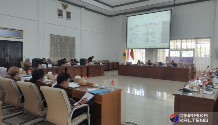 Ketua DPRD Barito Selatan Pimpin Rapat Bahas APBD 2025