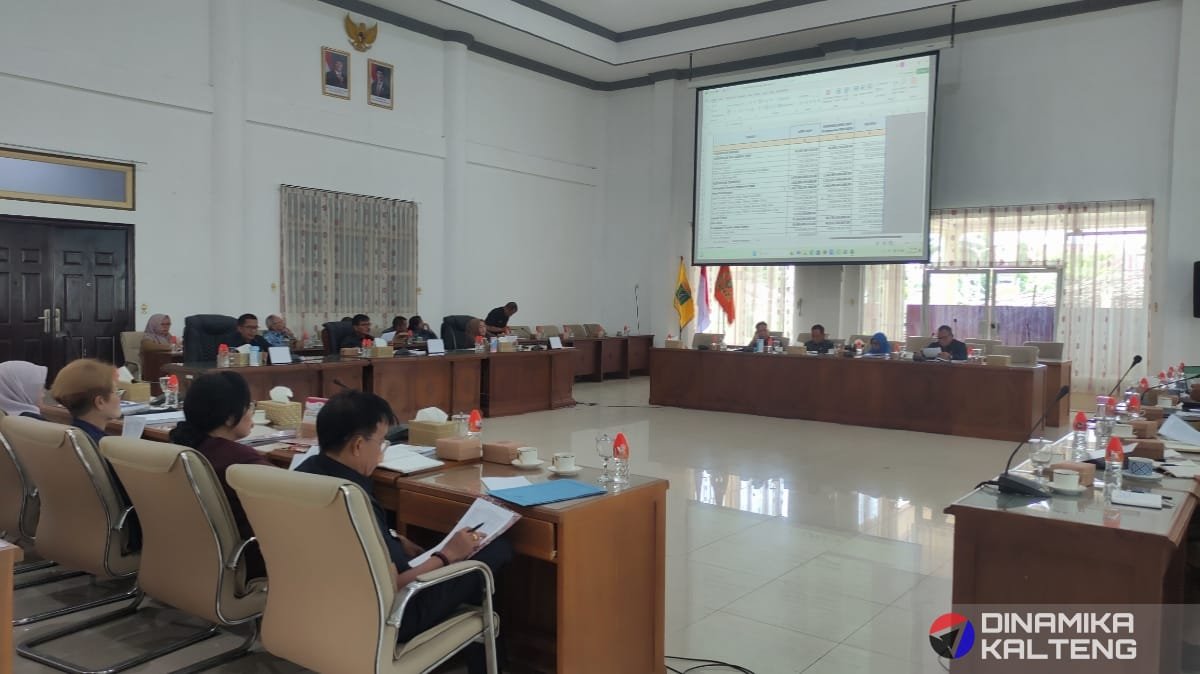 Ketua DPRD Barito Selatan, Farid Yusran, memimpin rapat Badan Anggaran bersama Tim Anggaran Pemerintah Daerah (TAPD) di ruang rapat gabungan komisi DPRD Barito Selatan untuk membahas APBD tahun 2025 (foto: DINAMIKA KALTENG/akhmad madani)