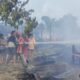 Sejumlah warga dan petugas pemadam kebakaran bekerja sama memadamkan api yang melalap empat rumah di Desa Danau Sadar, Kecamatan Dusun Selatan, Kabupaten Barito Selatan, Kalimantan Tengah, pada Jumat (15/11/2024) siang (foto: DINAMIKA KALTENG/akhmad madani)