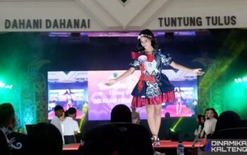 Salah satu peserta tampil memukau di atas panggung dalam acara Fashion Show Wastra Barito Selatan 2024 yang digelar di Gedung Jaro Pirarahan, Buntok (foto: DINAMIKA KALTENG/akhmad madani)