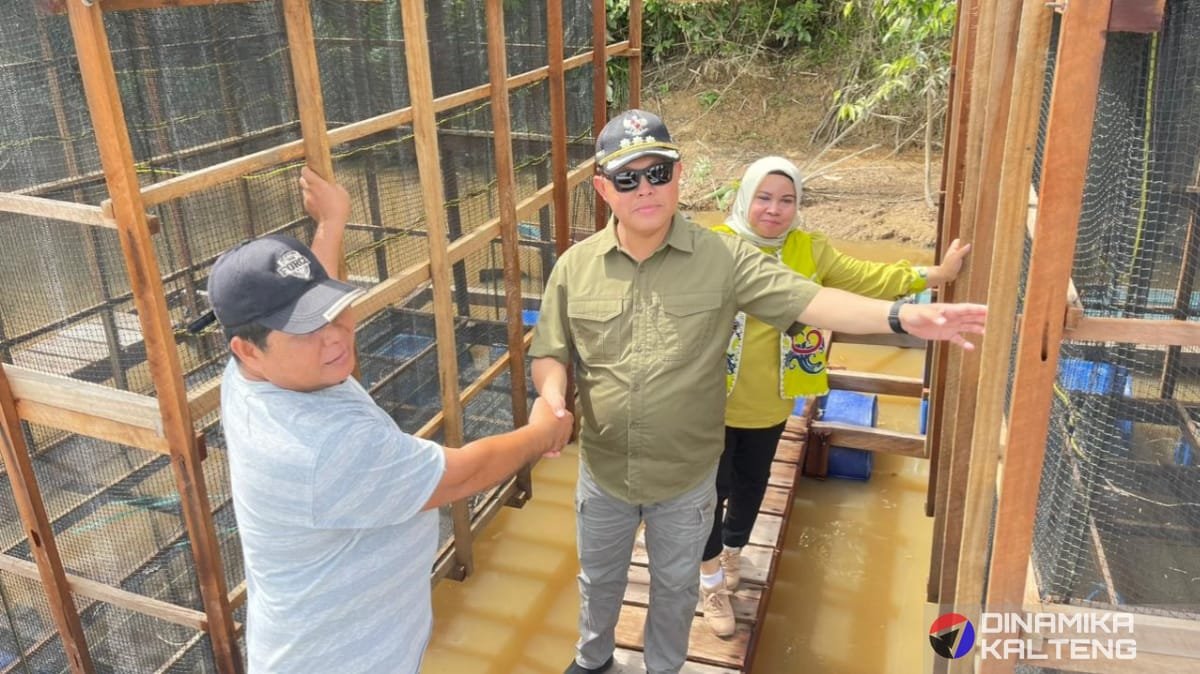 Pj Bupati Barito Selatan H Deddy Winarwan menyerahkan keramba ikan didampingi kepala DKPPP barsel Hj Ida Safitri (foto: DINAMIKA KALTENG/mas)