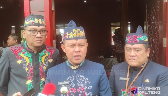 PJ Bupati Resmikan Rumah Adat Barsel