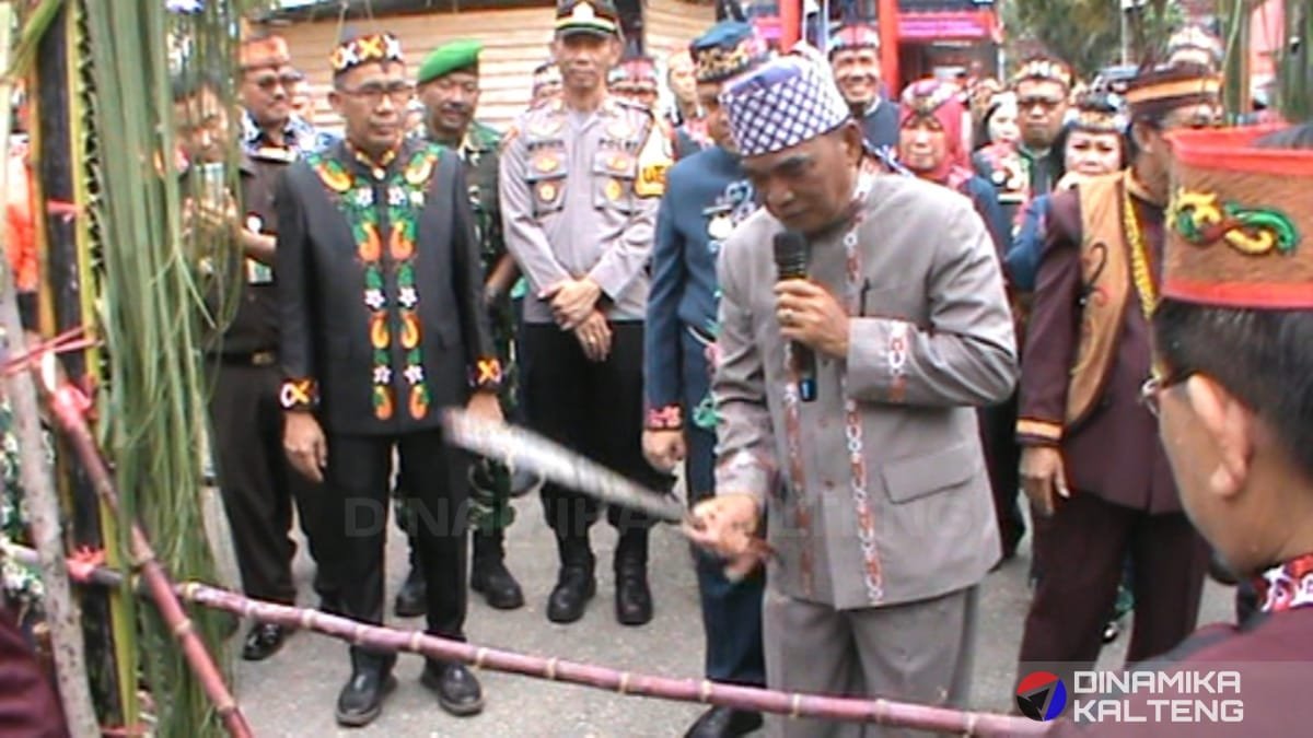 Ketua Dewan Adat Dayak (DAD) Barito Selatan, Tamarzam, ikut serta dalam prosesi pemotongan pantan sebelum memasuki rumah adat. (foto: DINAMIKA KALTENG/mas)