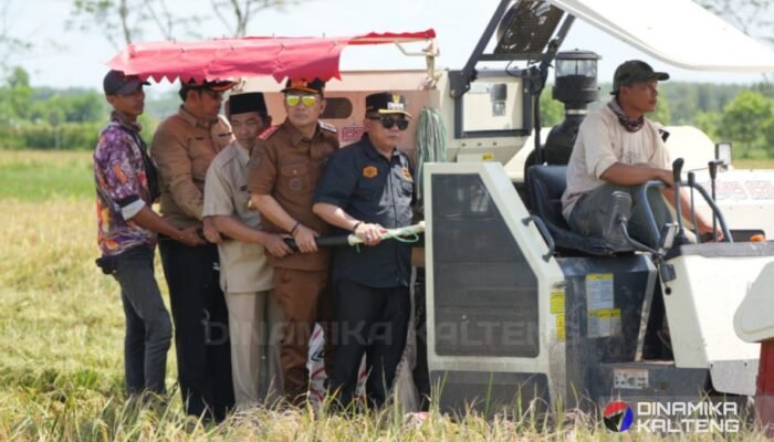 Barito Selatan Optimis Surplus Padi, Bupati Eddy Raya Hadiri Panen Raya di Pulang Pisau