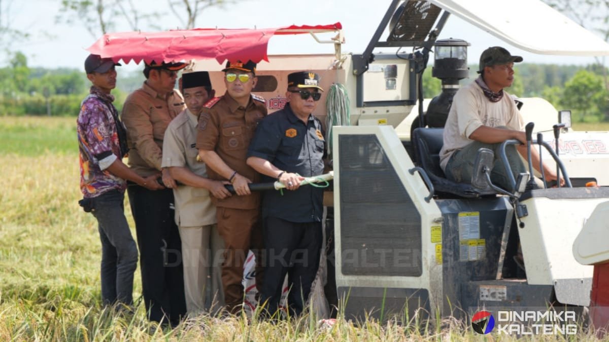 Bupati Barito Selatan Eddy Raya Samsuri dan rombongan menghadiri kegiatan panen raya di Desa Pantik, Pulang Pisau, Kalimantan Tengah.