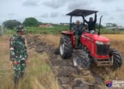 Sukseskan Hanpangan, TMMD ke-124 Ubah Lahan Tidur Jadi Lahan Produktif di Barito Selatan