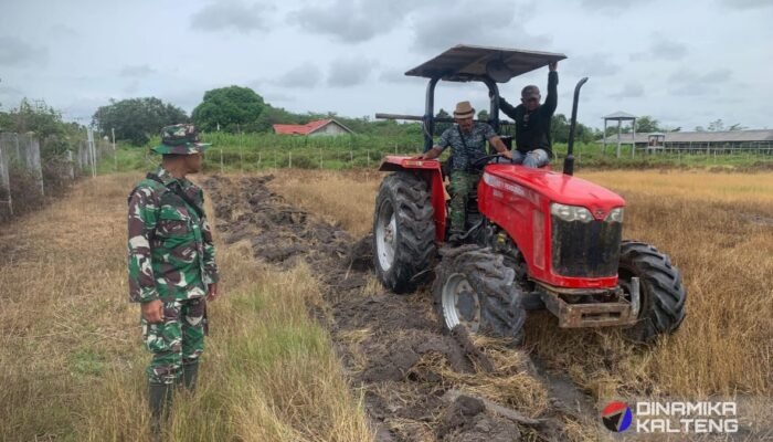 Sukseskan Hanpangan, TMMD ke-124 Ubah Lahan Tidur Jadi Lahan Produktif di Barito Selatan