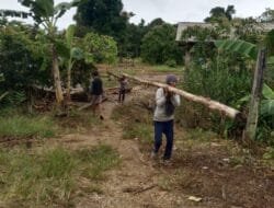 Prajurit TMMD Ke 124 Kodim 1012/Buntok Dan Warga Angkut Kayu Guna Pembuatan Badan Jalan