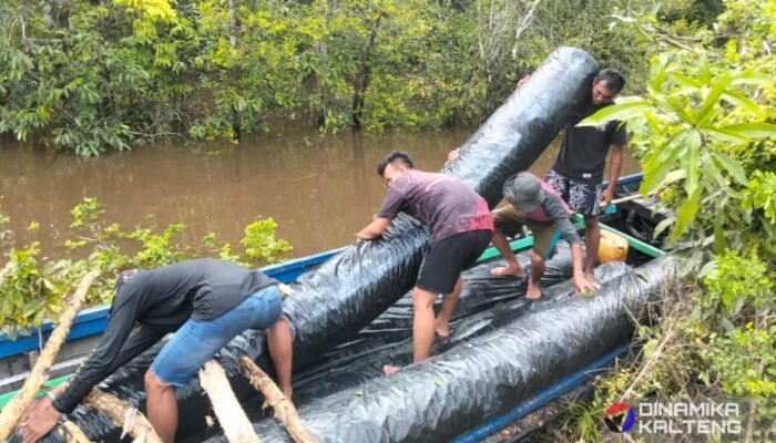 Semangat Gotong Royong TMMD Ke-124 Kodim 1012/Buntok: Personel dan Warga Bahu Membahu Angkut Material Geotex