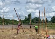 Tahap Persiapan Kandang Ayam Petelur TMMD Ke-124 Kodim 1012/Btk Dukung Ketahanan Pangan