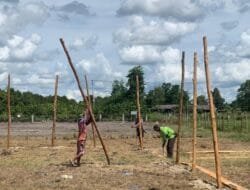 Tahap Persiapan Kandang Ayam Petelur TMMD Ke-124 Kodim 1012/Btk Dukung Ketahanan Pangan
