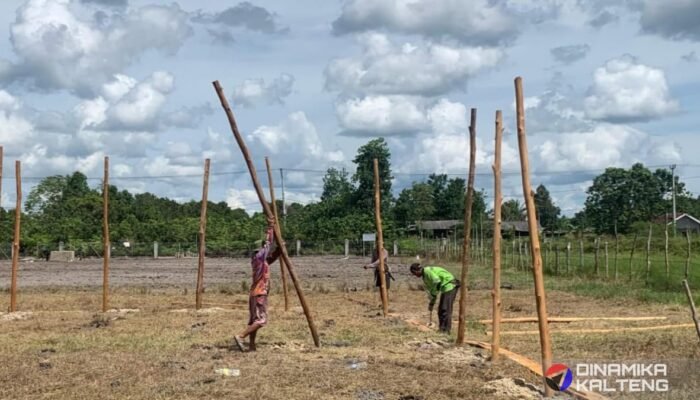 Tahap Persiapan Kandang Ayam Petelur TMMD Ke-124 Kodim 1012/Btk Dukung Ketahanan Pangan