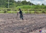 Sukseskan Program Ketahanan Pangan, Satgas TMMD Ke-124 Laksanakan Penaburan Pupuk