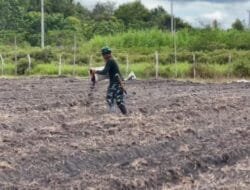 Sukseskan Program Ketahanan Pangan, Satgas TMMD Ke-124 Laksanakan Penaburan Pupuk