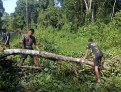 Bersihkan Rute Jalan, Satgas TMMD dan Warga Tebang Pohon yang Menghalangi Akses