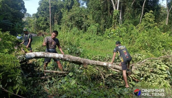 Bersihkan Rute Jalan, Satgas TMMD dan Warga Tebang Pohon yang Menghalangi Akses
