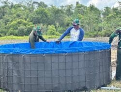 Satgas TMMD Bangun Kolam Ikan di Barito Selatan, Dukung Ketahanan Pangan Warga