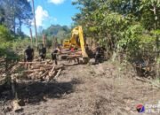 Satgas TMMD Ke-124 Kebut Pembangunan Jalan Menuju Desa Talio