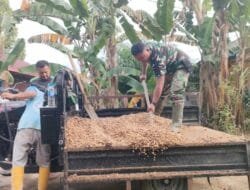 Satgas TMMD Kodim 1012/Buntok Angkut Material Gorong-Gorong Gunakan Kendaraan Warga