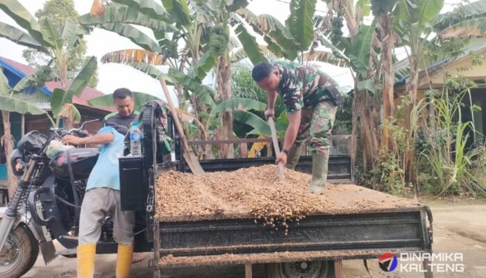 Satgas TMMD Kodim 1012/Buntok Angkut Material Gorong-Gorong Gunakan Kendaraan Warga