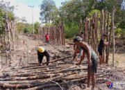 Warga Desa Talio Antusias Bantu Satgas TMMD Reguler ke-124 Pasang Cerucuk Jalan