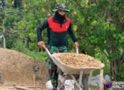 Arco, Alat Andalan Satgas TMMD Kodim 1012/Buntok Angkut Material di Medan Berat