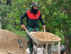 Arco, Alat Andalan Satgas TMMD Kodim 1012/Buntok Angkut Material di Medan Berat