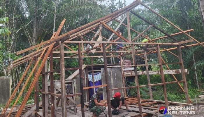 Rehab RTLH TMMD di Barito Selatan Masuki Tahap Pemasangan Rangka dan Kuda-Kuda Rumah