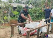 Medan Ekstrem Tak Surutkan Semangat Satgas TMMD Bangun Jalan Desa Talio