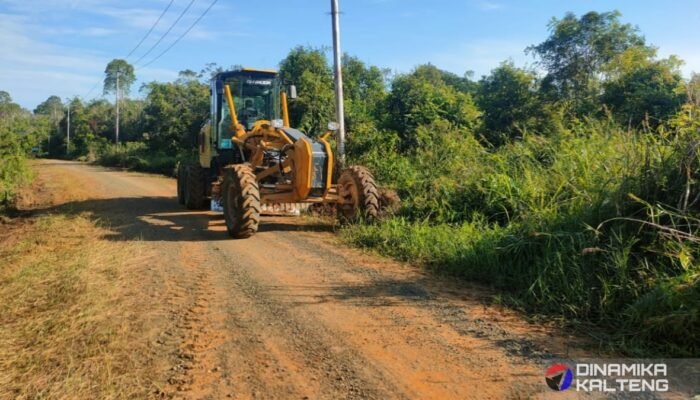 Semangat Tak Pernah Surut, Satgas TMMD Kejar Pengerjaan Jalan Penghubung di Barito Selatan