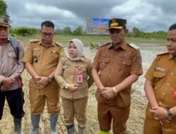 Kepala DKPP Barsel: Dukungan Pemerintah Wujud Nyata Komitmen Tingkatkan Produksi Pangan