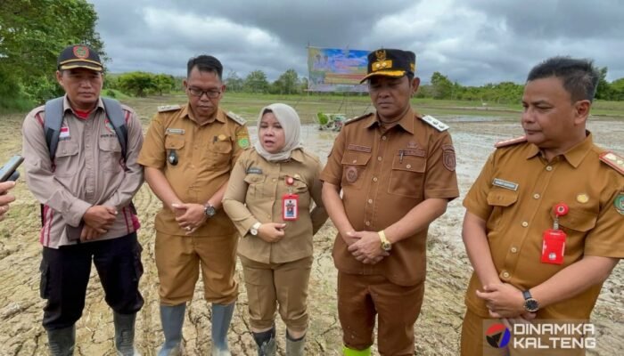 Kepala DKPP Barsel: Dukungan Pemerintah Wujud Nyata Komitmen Tingkatkan Produksi Pangan