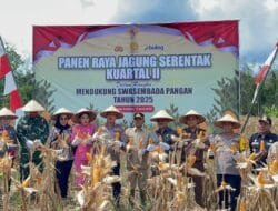 Wabup Khristianto Yudha Hadiri Panen Raya Jagung Serentak di Desa Ngurit