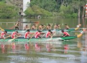 Bupati Cup Dayung Dragon Boat Meriahkan HUT Barsel ke-66
