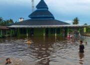 Banjir Rendam Sembilan Desa di Dusun Hilir Barito Selatan, Aktivitas Pertanian Lumpuh