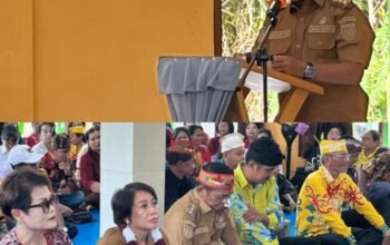 Wakil Bupati Barito Selatan Resmikan Balai Basarah Pakat Maeh di Desa Lembeng