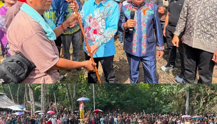 Wabup Barito Selatan Hadiri Puncak Ritual Wara Nyalimat, Tegaskan Komitmen Lestarikan Budaya Dayak