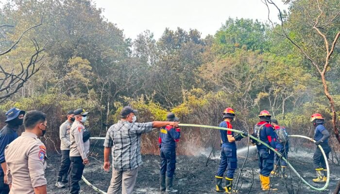 Karhutla Pamangka Sulit Dipadamkan, Kapolres Barsel dan Wabup Turun Langsung Jinakkan Si Jago Merah