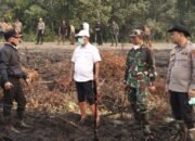 Kepala BPBD Barsel Tegaskan, Anggaran Penanganan Karhutla Aman