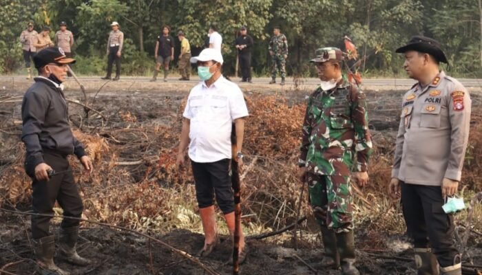 Kepala BPBD Barsel Tegaskan, Anggaran Penanganan Karhutla Aman