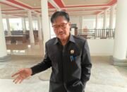 Sudah Diajukan, SK Pemberhentian Sementara Ida Riani Tak Kunjung Terbit, DPRD Barsel Desak Pemprov Kalteng Bertindak