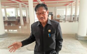Sudah Diajukan, SK Pemberhentian Sementara Ida Riani Tak Kunjung Terbit, DPRD Barsel Desak Pemprov Kalteng Bertindak