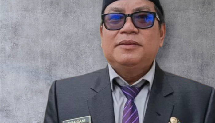 Dinsos Barsel Salurkan Bansos Sembako kepada 287 KPM di Tiga Desa Kecamatan Jenamas